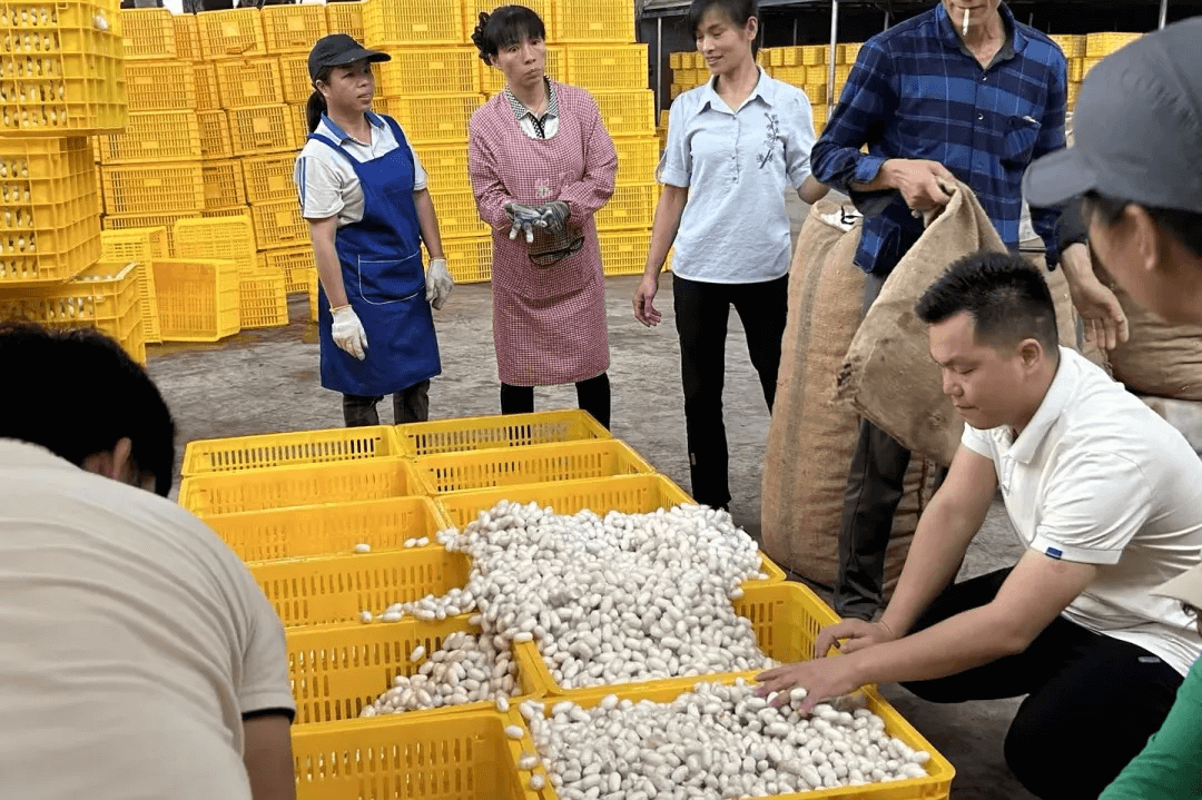 &#74;&#68;&#66;&#40;&#20013;&#22269;&#30005;&#23376;&#41;&#23448;&#26041;&#32593;&#31449;